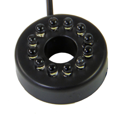 The rena oem - rena, light